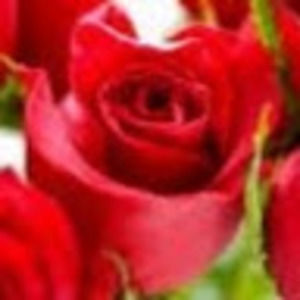 Meet your Posher, Leena